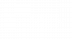 Avada SEO